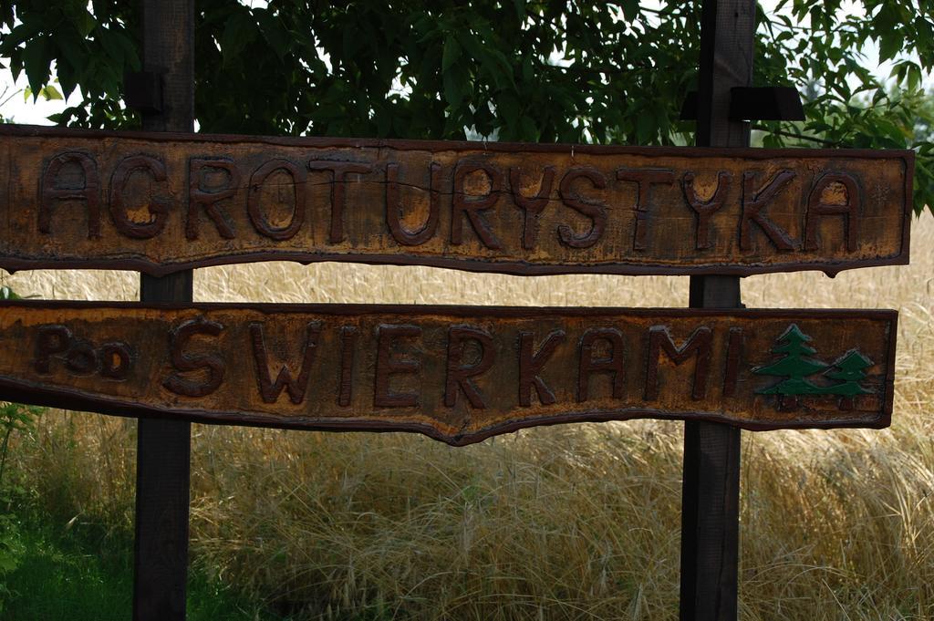 Agroturystyka Pod Swierkami Nadrybie Ngoại thất bức ảnh