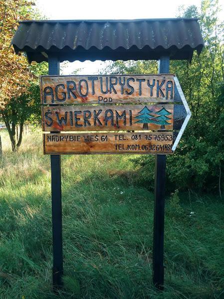 Agroturystyka Pod Swierkami Nadrybie Ngoại thất bức ảnh